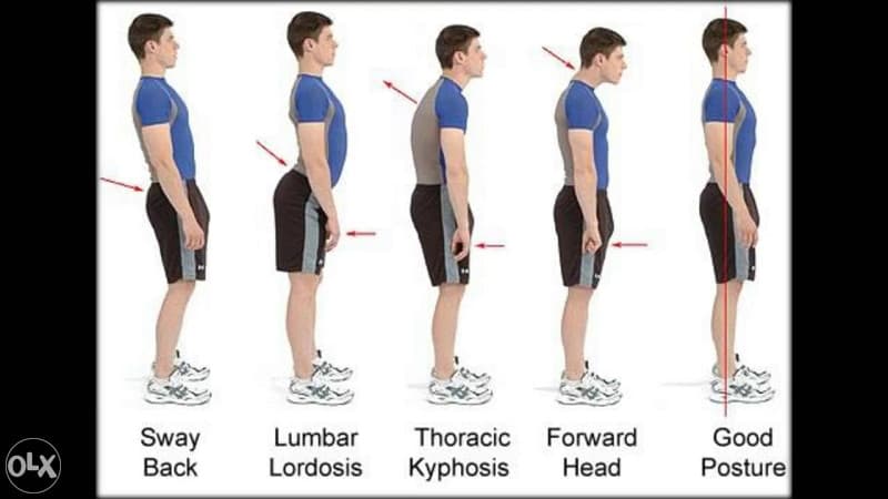 MAGNETNI POJAS ZA LEDJA (12 MAGNETA) UNIVERZALNI 3